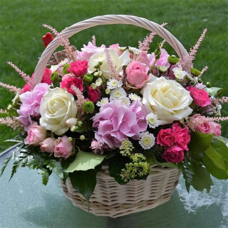 Принцесса от 16 089 руб.